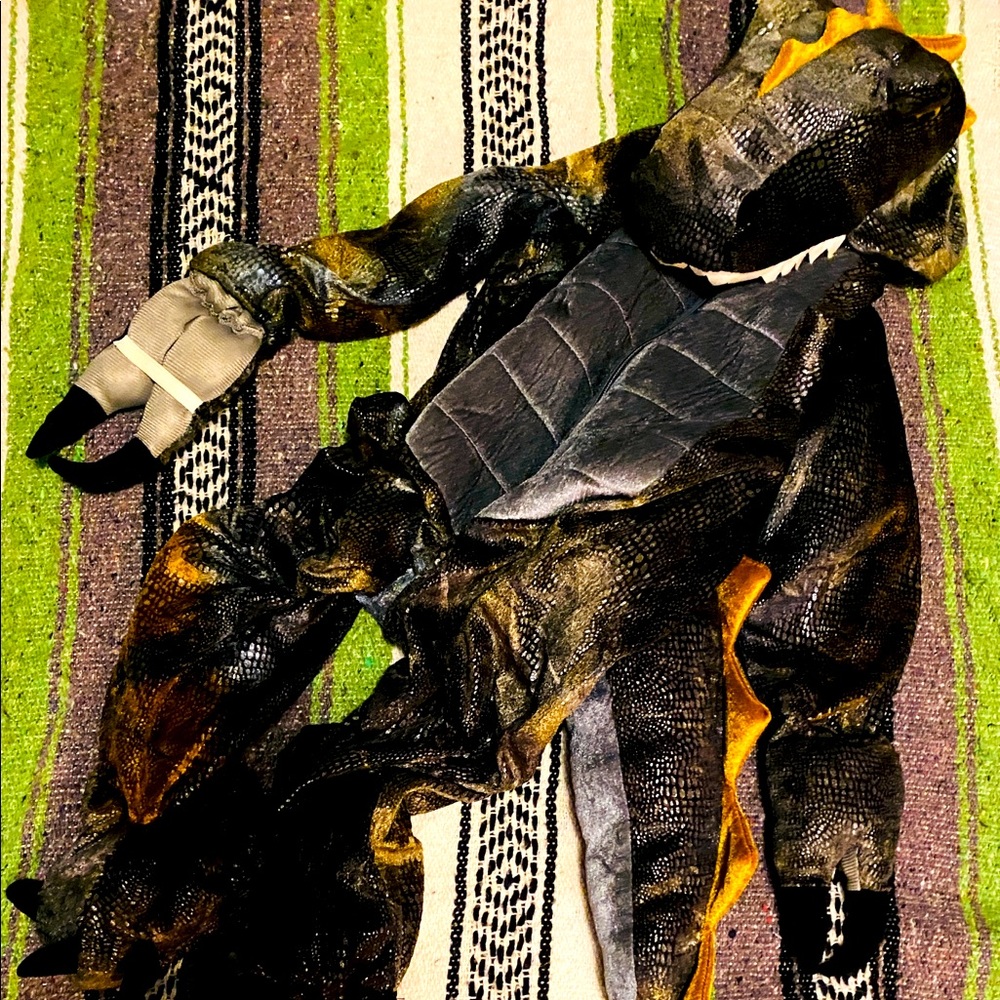 Halloween costume 3-4years old